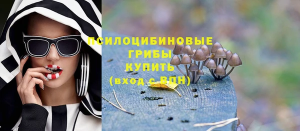 PSILOCYBIN Абинск