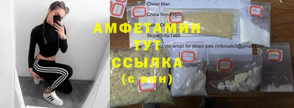 гидра Абаза