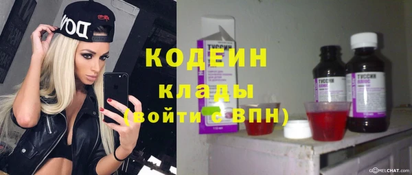 гидра Абаза