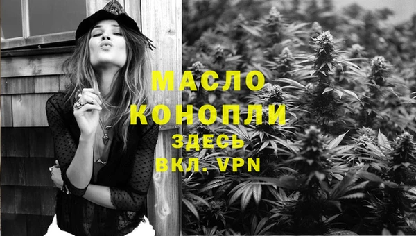 гидра Абаза