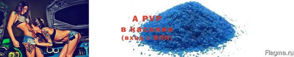 гидра Абаза