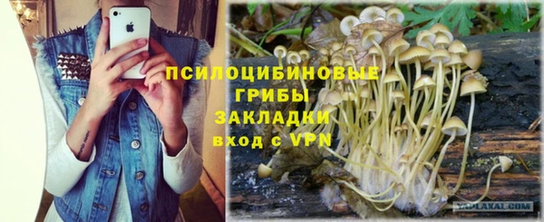 PSILOCYBIN Абинск
