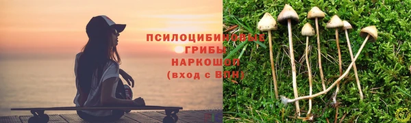 PSILOCYBIN Абинск