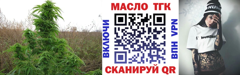 купить наркотики цена  Братск  Дистиллят ТГК гашишное масло 