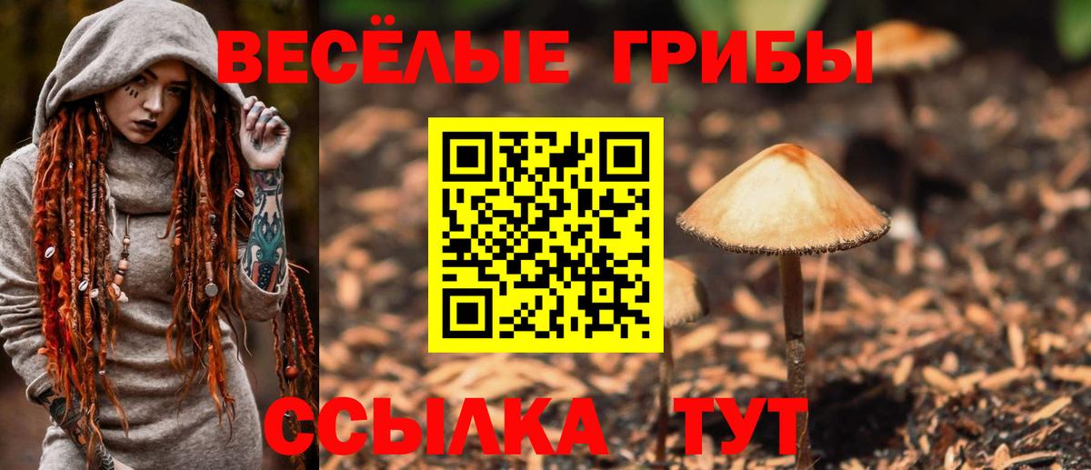 Братск  Псилоцибиновые грибы GOLDEN TEACHER  Вход с VPN  Галлюциногенные грибы ЛСД 